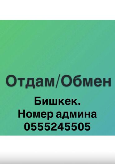 отдам в добрые руки бишкек: Вотс ап группа Бишкек. Номер админа