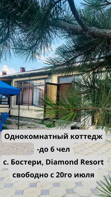 стрижка кошек на дому: Коттедж, Sea Breeze | Diamond Resort, Бостери, Унаа токтотуучу жай, унаа туруучу жай, Коргоодогу аймак, Жабык пляж