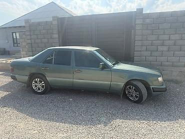 es 250: Mercedes-Benz W124: 1992 г., 2.5 л, Механика, Дизель, Седан — 6
