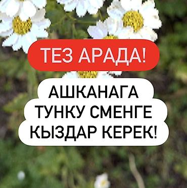 Требуется сотрудник: Столовая, Оплата: Ежедневно