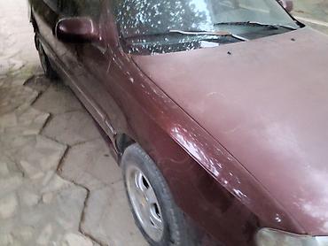 тайота краун продажа: Hyundai Accent: 1994 г., Механика, Хэтчбэк — 5