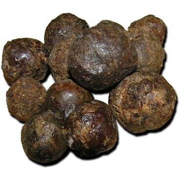 Bal: Arı südü, arı məhsulları 10g 40₼ — 7