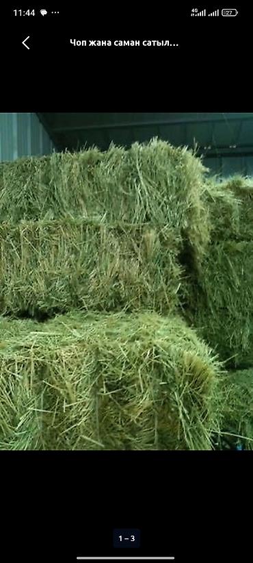 Сено и солома в тюках - Плотно спрессованные прямоугольные тюки -