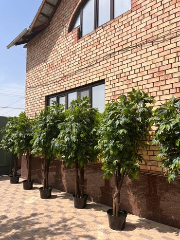 Декоративные цветы: Искусственные деревья и цветы — долговечный и стильный декор без — 21