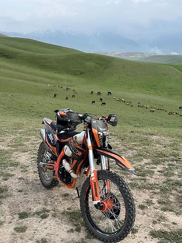 для бездорожья: Zuumav K6 300cc пробег 650 км состаяние идеял — 1