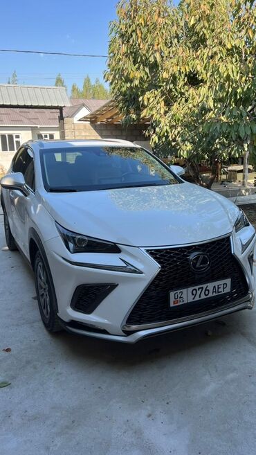 мерседес 410 бортовой: Lexus NX: 2019 г., 2 л, Автомат, Бензин, Внедорожник