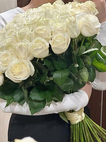 Букеты из живых цветов: 🌸🌹 РАСПРОДАЖА ЦВЕТОВ! 🌹🌸 🔥 Розы и хризантемы 💐 Свежие • Пышные • at lalafo.kg — 7 Букеты из живых цветов: 🌸🌹 РАСПРОДАЖА ЦВЕТОВ! 🌹🌸 🔥 Розы и хризантемы 💐 Свежие • Пышные • — 7