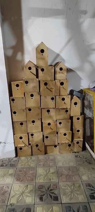 it tap az: Salam aleykum yuvalar satılır demək olar 90 faizi folluqlu yuvlardi — 1