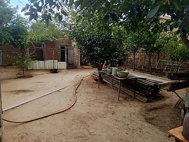 qobu ev: 3 otaqlı, 63 kv. m, Kredit yoxdur, Təmirsiz — 3