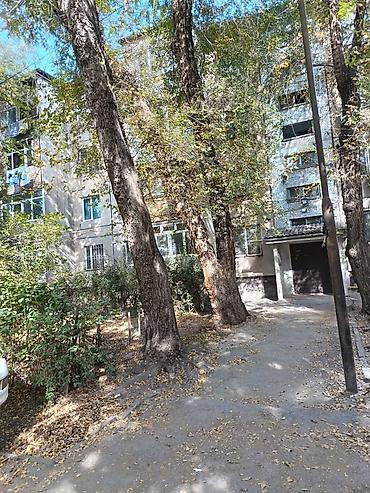 Продажа квартир: 3 комнаты, 58 м², 104 серия, 3 этаж, Косметический ремонт — 13