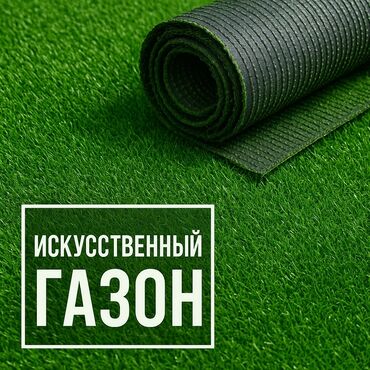 растения домашние: 🌞 Когда хочется лета - постелите газон! 🌿 Зелёный уголок у себя дома