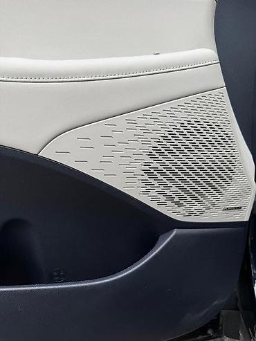 Hyundai: Hyundai Palisade: 2019 г., 2.2 л, Автомат, Дизель, Кроссовер — 15