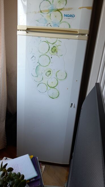 Холодильники: Холодильник Nord, Двухкамерный