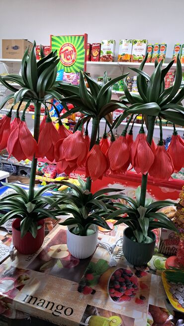 Лилии: Лилии — 7