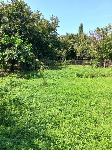 Həyət evləri və villaların satışı: 6 otaqlı, 56 kv. m, Yeni təmirli — 12