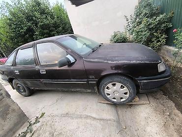 Opel: Opel Vectra: 1991 г., 1.8 л, Механика, Бензин, Универсал — 2