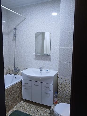 1: 1 комната, Риэлтор, Без подселения — 4