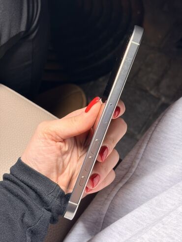 Apple iPhone: IPhone 16 Pro Max, Gümüşü, Face ID — 8