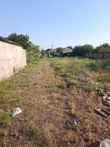 emircanda satilan evler: 1 otaqlı, 80 kv. m, Kredit yoxdur, Yeni təmirli — 4