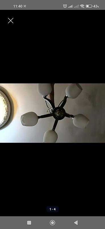 omid cilcıraq: Çılçıraq, 5 lampa, Metal — 2