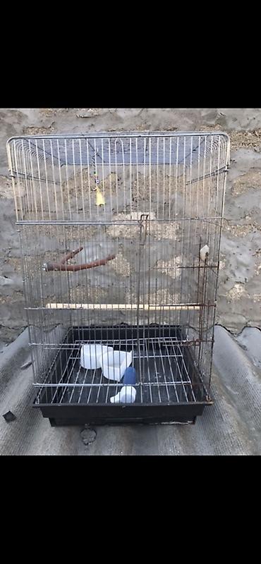 большая клетка для кролика: Böyük ölçülü quş qəfəsi - Material: metal barmaqlıqlar, plastik — 1