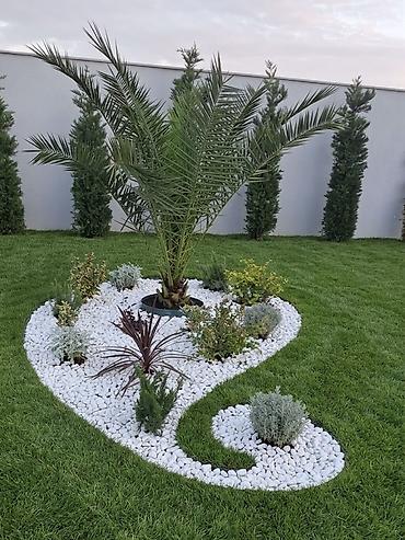 BUTA Landşaft olaraq, Azərbaycanın bütün bölgələrinə xidmətimiz lalafo.az -da BUTA Landşaft olaraq, Azərbaycanın bütün bölgələrinə xidmətimiz