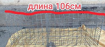 Птицы: Продаю 5-секционные клетки для содержания бролеров до 2м, выс 42см — 9