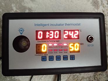 Сельскохозяйственное оборудование: İnkubator beyni ZFX-W9002 55azn — 1
