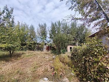Продажа коттеджей и домов: 4 комнаты, 170 м², 14 соток, Бишкек, Аэропорт Манас Собственник — 11
