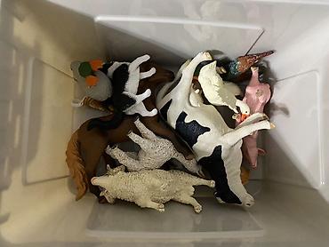 дельфин: Наборы фигурок животных Mideer — Simulation Toy Set Варианты — 6