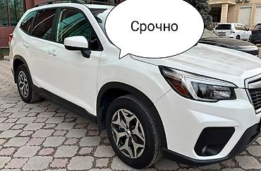 mercedesbenz w204 фара: Subaru Forester: 2020 г., Вариатор, Бензин, Кроссовер — 5
