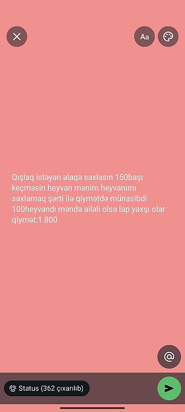 onlayn islər vakansiya: Qışlaq üçün çoban axtarılır. - Heyvan sayı: maksimum 150 baş (mövcud — 1