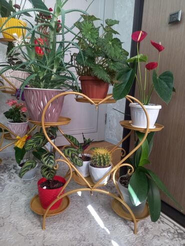 печи для бани: Үй жана бакча үчүн декор, Өзү алып кетүү, Акылуу жеткирүү