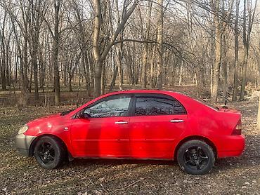 Toyota: Toyota Corolla: 2003 г., Механика, Бензин, Седан at lalafo.kg — 2 Toyota: Toyota Corolla: 2003 г., Механика, Бензин, Седан — 2