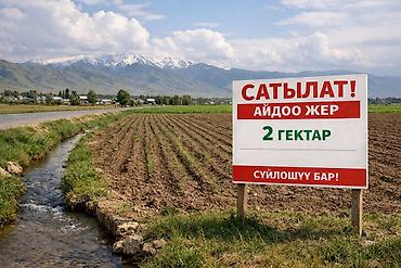 в таласе: 200 соток, Для сельского хозяйства, Красная книга — 1