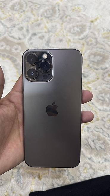 vivoactive 5: IPhone 13 Pro Max, 512 ГБ - Модель: iPhone 13 Pro Max (номер модели — 4