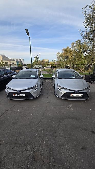 toyota leven: Toyota Levin: 2020 г., 1.8 л, Вариатор, Гибрид, Седан — 1
