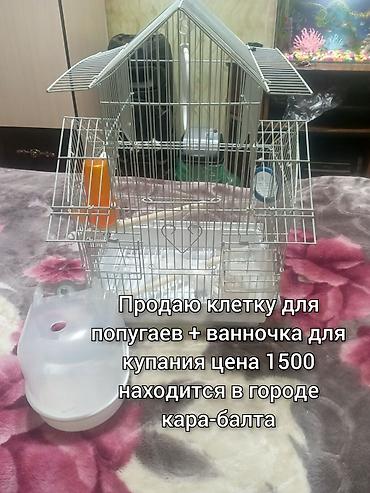 простые птички: Клетка для попугаев + ванночка для купания. Особенности: - — 1