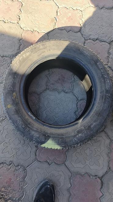 165 60 14: Зимняя шина Semperit Master-Grip 2 - Размер: 165/70 R14 81T - — 3