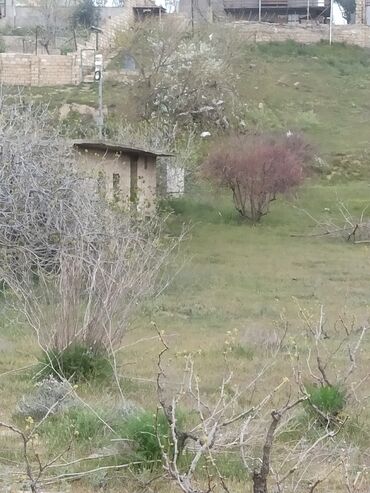 Torpaq sahələrinin satışı: 30 sot, Mülkiyyətçi, Kupça (Çıxarış) — 5