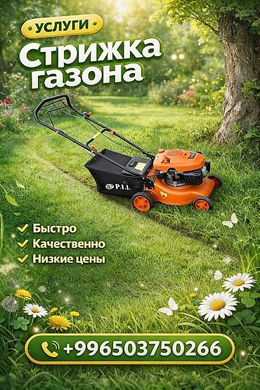 sprinter 315: Уборка территории, Стрижка газона — 1