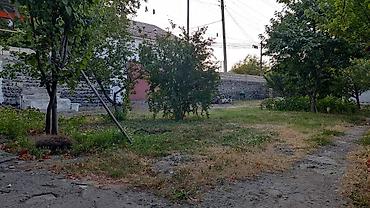 seki torpaq: 6 sot, Biznes üçün, Mülkiyyətçi, Kupça (Çıxarış) — 4