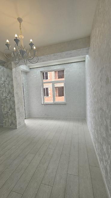 Новостройка: 2 комнаты, Новостройка, 50 м² — 2