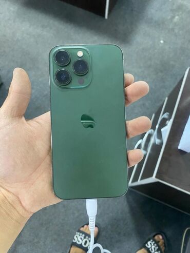 Apple iPhone: IPhone 13 Pro, Alpine Green, Кабель
