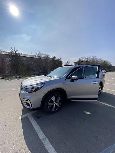 Subaru: Subaru Forester: 2019 г., Кроссовер — 17