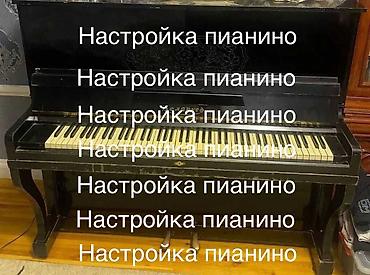 iphone cs max: Настройка пианино Профессиональная настройка акустических пианино на — 1