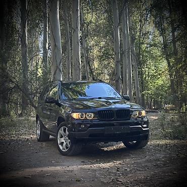 м54 блок: BMW X5: 2004 г., 4.8 л, Автомат, Бензин, Внедорожник — 1
