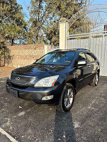 катализ: Lexus RX: 2004 г., 3.3 л, Автомат, Бензин — 2