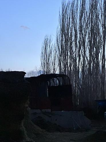 Другие тракторы: Трактор сатылат шаймандары менен Кош,тегиздегич,сепкич,фургон,фасоль — 8