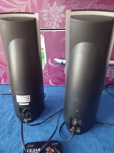 Колонки для ПК и ноутбуков: Колонки Genius 2.0 для компьютера/ноутбука/телефона - Формат — 4